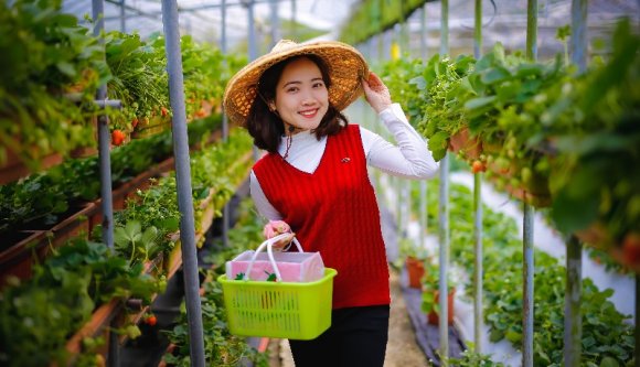 Jövőre akár már 100 ezer külföldi munkást is alkalmazhatnak a romániai cégek