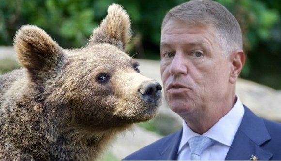 Iohannis visszadobta a medvetörvényt, de Tánczos azt mondja, nem lesz itt semmi probléma