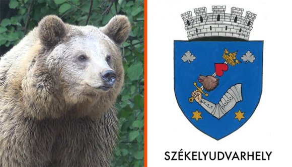 Egy tulceai állatvédő szervezet támadta meg Székelyudvarhely címerét