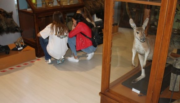 Volt, nincs: fontos magyar múzeumi gyűjtemény került véglegesen a nagyenyedi önkormányzat birtokába