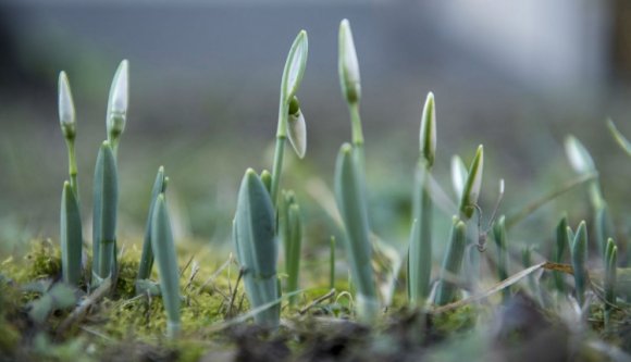 Március elejéig csak rövid ízelítőket kapunk a tavaszból