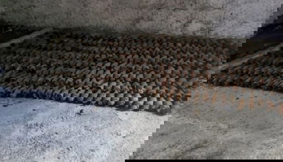 Több száz tankelhárító gránátot felejtettek egy régi katonai raktárban, senki nem tudja, hogy kerültek oda