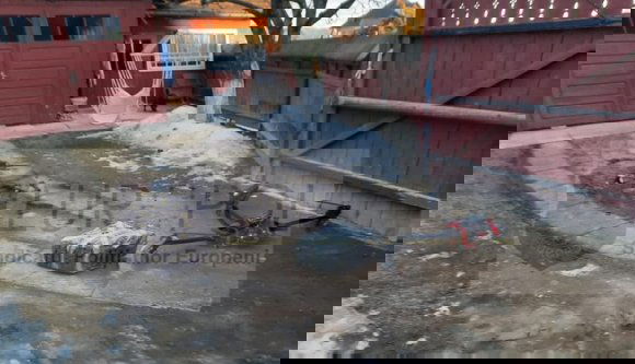 És ön mit tenne, ha a cigicsempészek drónja véletlenül az ön udvarán landolna a szajréval?