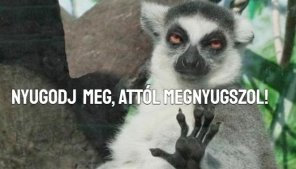 Románia kész menekülteket fogadni Ukrajnából, ha elszabadulna a pokol