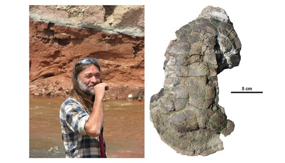 Kolozsvári geológusról neveztek el egy kréta kori teknősfajtát