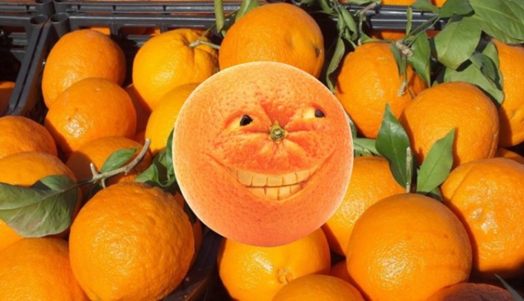 Tonnaszámra érkeznek az országba rovarirtóval szennyezett gyümölcs- és zöldségfélék Törökországból