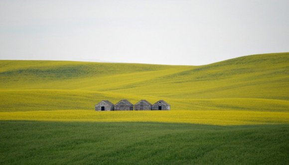 Nem túl jó ötlet most parlagon hagyni földeket a biodiverzitásért, figyelmezteti az EU-t Románia