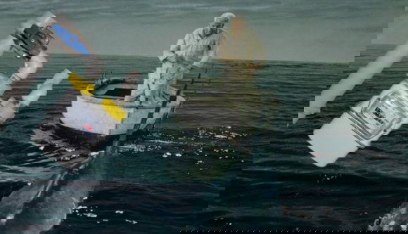 Halászni tanítaná a népet az energiaár-szabályozó hatóság alelnöke