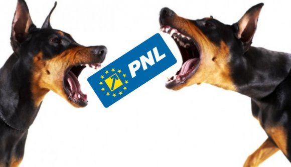 Dúlnak a harcok a liberális berkekben, már ki is nevezték Cîţu utódját a párt élére, aki nem Ciucă