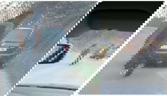 Állatkínzás miatt ezer lejre büntették a sofőrt, aki megtolta egy extra lóerővel Volkswagenjét (FRISSÍTVE)