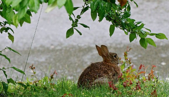 Húsvétolók, figyelem! A hímes tojás, sonka, zöldhagyma mellé nem árt kabátot, esernyőt is beszerezni