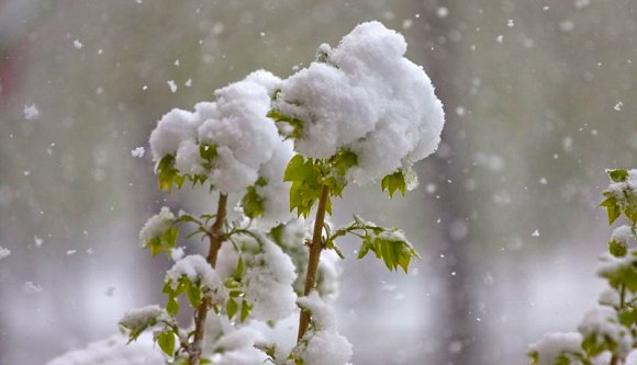 Bréking! az időjárás olyat csinál, mint egy ügyes politikus