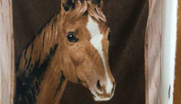 Putyin Z-jét látták bele az ablakban száradó lovas törülközőbe a rendőrök – intézkedést foganatosítottak