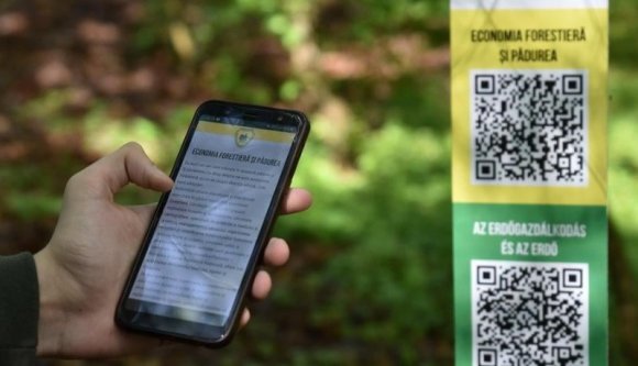 Csak megy az ember a telefonjával az erdőben és leolvassa a fákról a QR-kódot