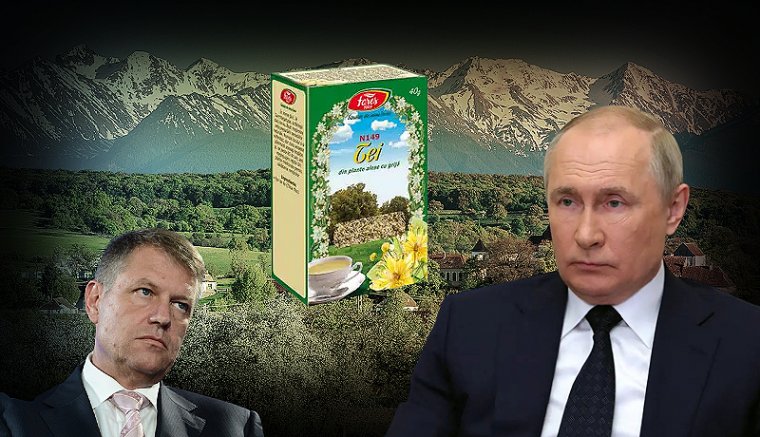 Ionopot, Putyin, a hársfatea (és a székelyhoki)