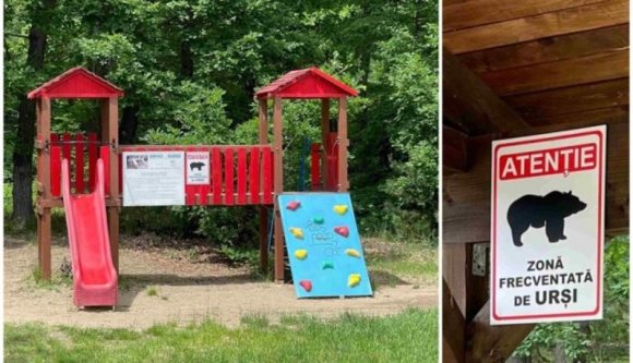 Már a játszótéren is medveveszélyre figyelmeztetnek az egyik erdélyi városban