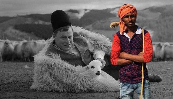 Megváltozik a balladai román táj egyik archetipikus eleme? Ázsiai pásztorok őrzik a juhnyájat