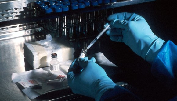 Már a második majomhimlős esetet is igazolták az országban