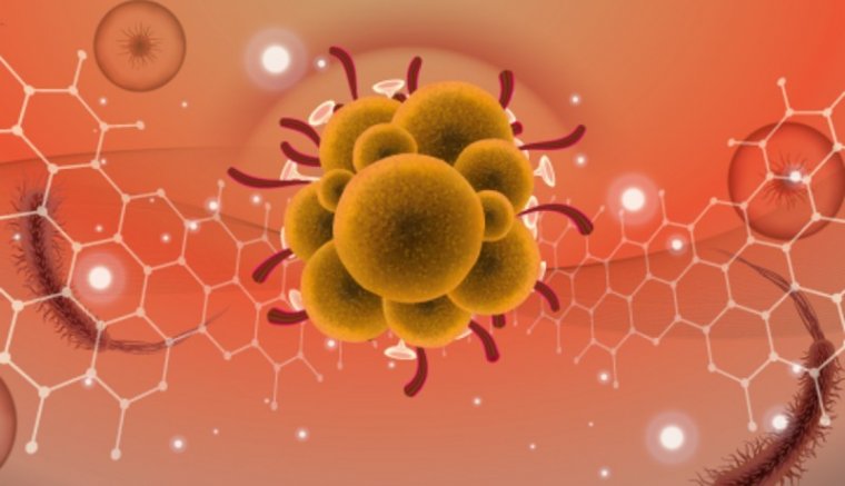 Három nap, három majomhimlős: még egy fertőzöttet találtak