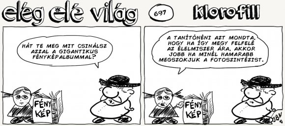 Elég elé világ – 697.