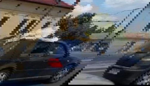 Egy hullának kinéző bábuval hozta rá a frászt fél Temesvárra egy művész