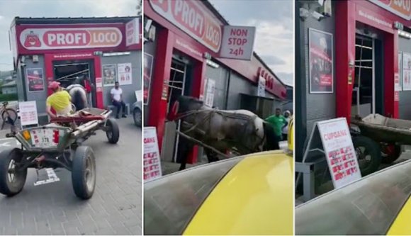 A kasszáig ment a lovával a Profi felháborodott biztonsági őre (VIDEÓval)