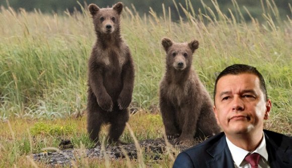 A közlekedési miniszter medvekérdésben akart okoskodni, de jól pofára esett
