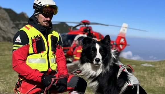 A repülni tanuló hegyimentő kutyánál bűbájosabb hír ma már aligha lesz (VIDEÓval)
