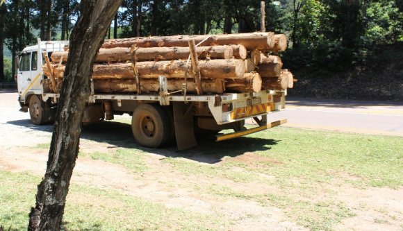 A fatolvajok úgy csapták be a minisztérium nyomkövetőrendszerét, mint szél a budiajtót