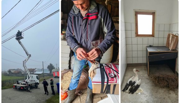 Nem kelt útra társaival egy gólya, a falu népe összefogott, hogy megmentsék