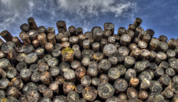 A tűzifa árplafonja éppen a várt eredmény ellenkezőjét hozza: drágulást és áruhiányt