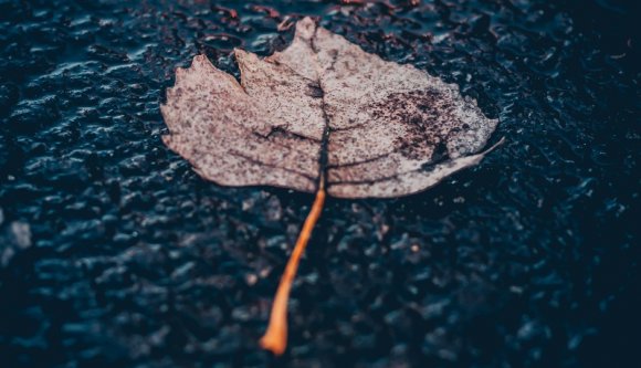 Lehet, hogy nyáron aszály volt, de szeptemberben megdőlt egy rakás csapadékrekord