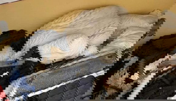 Rendőrszakszervezet: a rendőrakadémia hallgatói rosszabb körülmények között élnek, mint az elítéltek a börtönben