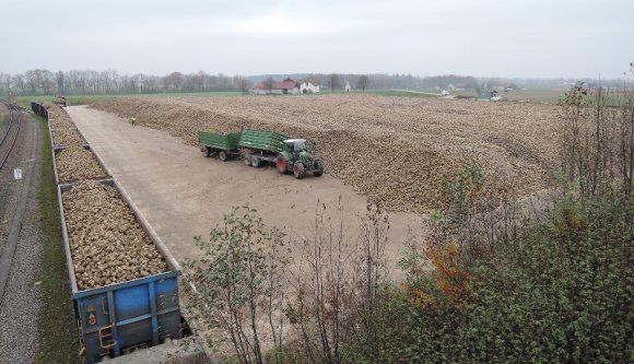Kilenc erdélyi megye cukorrépa-termelői könyörögnek a ludasi cukorgyár megmentéséért