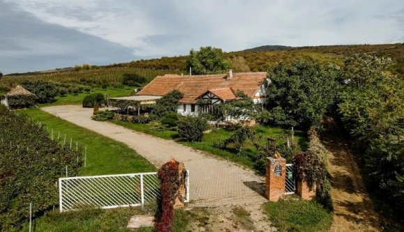 Ha mindig is szeretett volna egy mindennel is felszerelt borászatot a ménesi borvidéken, akkor itt az alkalom