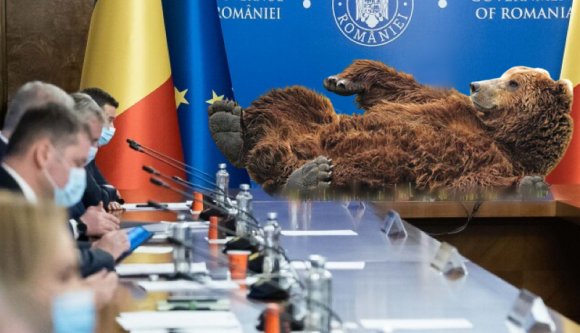 Miért lenne egy medve jobb miniszterelnök Romániában, mint bárki politikus?