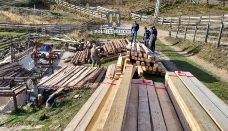 Maga az erdész lopta ipari mennyiségben a fát az egyik Kolozs megyei községben