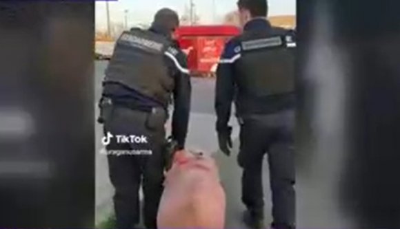 Elvitték a francia csendőrök a román család disznóját, nincs mit levágni karácsonyra (VIDEÓval)