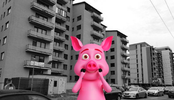 Hol vágjon az ember disznót a városban? Hát a tömbház tetején! (VIDEÓval)