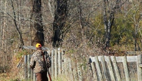 Hogy mit lophat egy főerdész a fán kívül? Nos, például áramot is