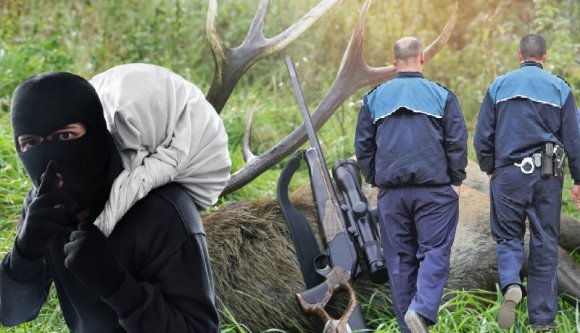 Orvvadászokra vadászó egyenruhások, sofőr nélkül maradt kisbusz, rendőrt akart kirabolni egy fenesi fiatal