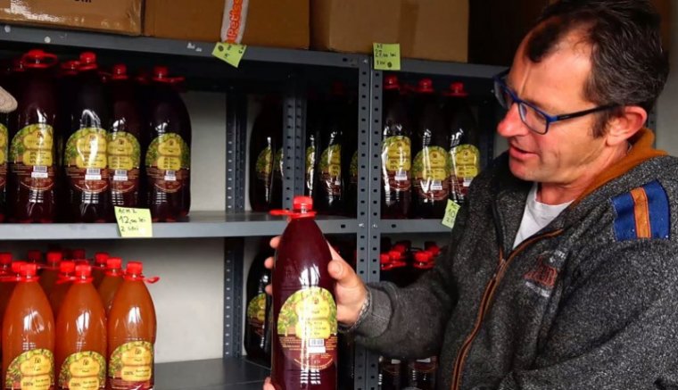 Az őshonos almafajtáink már nem kellenek a boltoknak, mehetnek a prés alá – Nyáguly Sándor vállalkozóval beszélgettünk