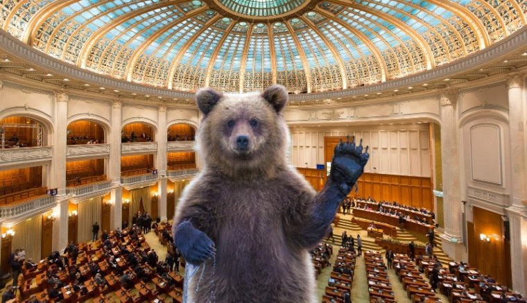 Hírmix: zajlik a btk-módosítás körüli parlamenti csörte, rossz hírt kaptak a medvék, késsel támadt egy diák