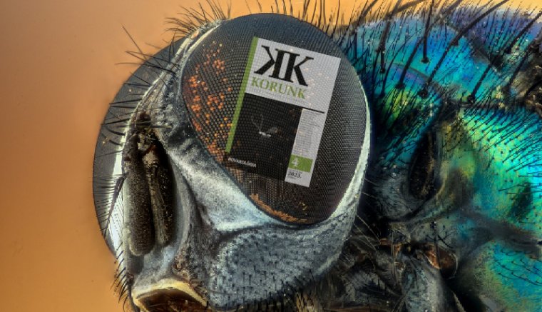 Tényleg rovarokat fogunk enni pár évtizeden belül?