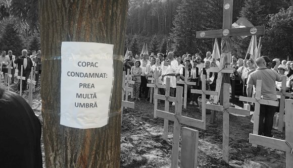 Az úzvölgyi román kereszteket visszatelepítették, a kolozsvári fákat kitelepítenék…