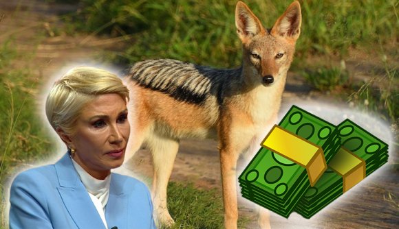 Keddi hírmix: Aradon a sakálok a városközpontban vannak, a kulturális miniszter is kongatja a vészharangot az „intézményreform” 