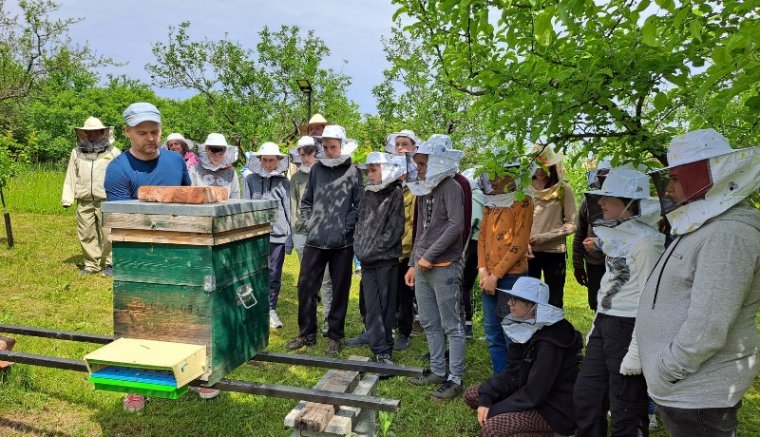 Ismerkedés a nyers méz fogalmával – Maki Ferenc méhészt kérdeztük a szakma aktuális helyzetéről