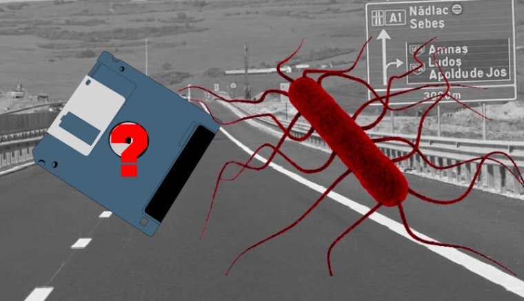 Hurrá, jövőre kerek 1000 kilométernyi autópálya lesz Romániában!