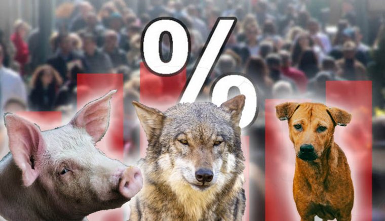 Pártok, kutyák, farkasok és disznók a főszereplői a hétfői hírmixünknek