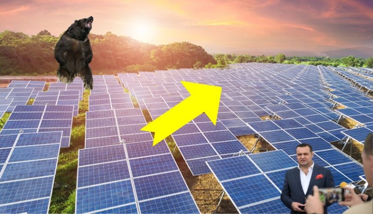 Vadászokra támadt egy medve. Napenergia-boom lesz Romániában - vasárnapi hírmix